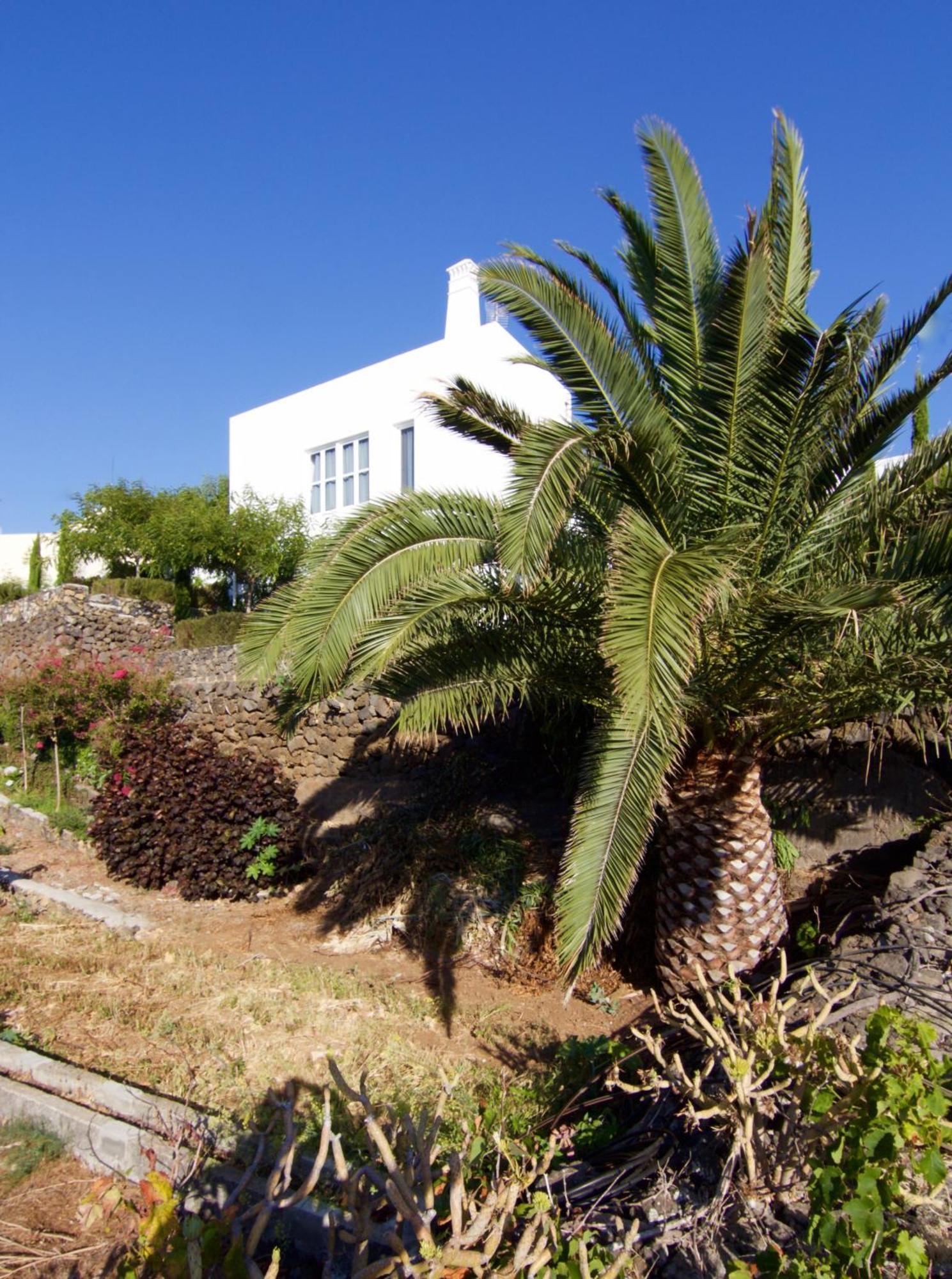 Casa La Brena La Palma Villa Breña Baja Exterior foto